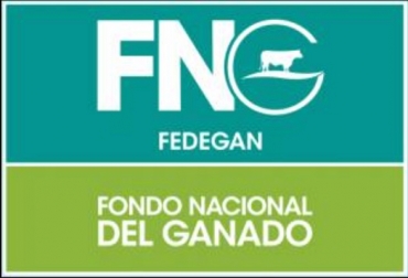 El FNG también está llevando a cabo la sistematización de los procesos de adquisición de bienes y servicios para que estos se inicien y tengan autorizaciones por medio de firmas electrónicas. Foto. www.fedegan.com Fondo Nacional del Ganado, Cero papel, Fondo nacional del Ganado (FNG), Archivo Central Digital, vacas, vacas Colombia, lechería, bovinos, ganadería bovina, ganadería bovina Colombia, noticias ganaderas, noticias ganaderas Colombia, contextoganadero