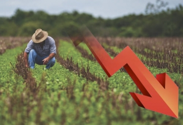 De materializarse en la discusión final del Presupuesto General de la Nación, los recursos del Ministerio de Agricultura en 2022 serían los más bajos en los últimos cinco años. Foto: sac.org.co Presupuesto agro 2022, presupuesto Ministerio de Agricultura 2022, presupuesto Colombia 2022, presupuesto, sector agropecuario, Minagricultura, ICA, Agencia Nacional de Tierras, agencia de desarrollo rural, funcionamiento, Inversión, Infraestructura, comercialización, ganado bovino, ganadería bovina, carne, leche, ganaderos, ganaderos colombia, ganado, vacas, vacas Colombia, bovinos, Ganadería, ganadería colombia, noticias ganaderas, noticias ganaderas colombia, CONtexto ganadero, contextoganadero