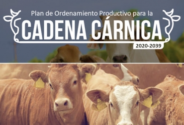 El POP de la cadena cárnica deja la trazabilidad en un segundo plano, desconociendo la importancia que traería para la ganadería nacional. Foto: upra.gov.co - saia.es UPRA, plan de ordenamiento productivo, Cadena Cárnica Bovina, análisis prospectivo, fedegan, trazabilidad bovina, Trazabilidad, trazabilidad prioridad, Ministerio de Agricultura, plan de acción, modelaciones económicas, planes maestros, reconversión, territorios, productividad, Competitividad, ganado bovino, ganadería bovina, carne, leche, ganaderos, ganaderos colombia, ganado, vacas, vacas Colombia, bovinos, Ganadería, ganadería colombia, noticias ganaderas, noticias ganaderas colombia, CONtexto ganadero
