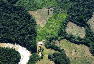 Los cabecillas de las disidencias de las Farc, con la deforestación, pretenden culminar el 'Corredor Marginal de la Selva Amazónica'. Foto: opendemocracy.net Ganadería, ganadería colombia, noticias ganaderas, noticias ganaderas colombia, CONtexto ganadero, deforestación amazonía, tala de la amazonia, quien deforesta la amazonia, disidencias de las farc amazonia, Fiscalía, fiscalia colombia