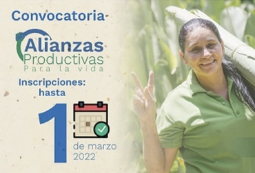 El Ministerio de Agricultura tiene abierta la convocatoria para participar en la financiación de alianzas productivas regionales en todo el país. Foto: minagricultura.gov.co Alianzas Productivas, Inversión, Ministerio de Agricultura y Desarrollo Rural, convocatoria, proyectos regionales, pequeños productores, comercialización, calidad de vida, aliados comerciales, Incentivo Modular, ruralidad, iniciativas, Jóvenes Rurales, mujeres rurales, perfiles, Secretarías de Agricultura, leche, carne, doble propósito, mejoramiento de pasturas, bancos de proteína, mejoramiento genético, inseminación artificial, mangas de manejo, compra de animales, Ganadería, ganadería colombia, noticias g