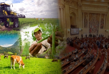 Cuando se inicie la próxima legislatura, dentro de un mes, seguirá la discusión de algunos proyectos de ley de especial interés para los productores del campo. Foto: agrospray.com.ar - apccolombia.gov.co - radionacional.co - sac.org.co proyecto de ley, congreso, senado, Cámara de representes, animal, protección, bienestar, judicial, agraria, rural, mecanismos, resolución de controversias, litigios, marco procesal, derechos de propiedad, posesión, ocupación, usufructo, servidumbre, uso, tenencia, bienes inmuebles, derecho procesal, SAC, deforestación, jurisdicción, Contencioso Administrativo, sello, carne libre de deforestación, identificación, Trazabilidad, IDEAM, plantas de beneficio, Ganadería, ganadería colombia, noticias ganaderas col