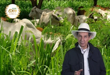 El ICA es un referente científico, integral y de sanidad animal de gran apoyo para las actividades del sector rural colombiano. Foto: Fedegán José Félix Lafaurie, presidente de Fedegán, mensaje al ICA 60 años