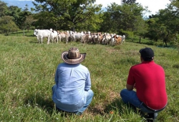 Ganaderos hicieron peticiones al presidente electo Gustavo Petro para los pequeños y medianos productores, en materia de sostenibilidad, asociatividad y dinamismo en las exportaciones. Foto: agriculturadelasamericas.com ganaderos de Colombia frente al nuevo gobierno de Gustavo Petro