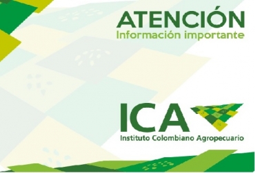 Según Darcy Quinn, Ricardo Venegas -el presidente del sindicato del ICA-, pidió la renuncia a 32 gerentes departamentales, de los 6 subgerentes, de 4 jefes de oficinas asesoras, 13 directores técnicos.Foto: ICA ICA, despidos