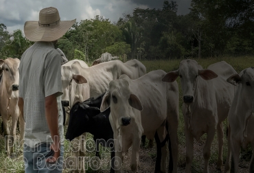 Plan Nacional de Desarrollo 
