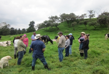 $380.000 millones que recibirá el campo por cuenta de uno de los puntos del proyecto. Foto: Fedegán