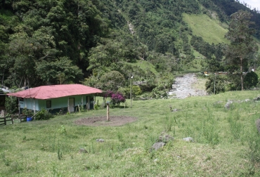 La primera propuesta consiste en la realización de una reforma rural y agraria integral. Foto: CONtexto ganadero Departamento del Tolima