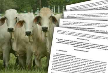 Comenzaron las gestiones para sacar adelante el Proyecto de Ley presentado por Fedegán. Imagen: CONtexto Ganadero Ministerio de agricultura y Fedegán trabajan en proyecto de reconversión ganadera