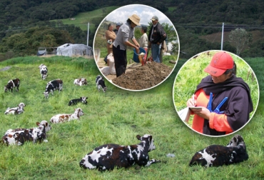 Cobilac está conformada actualmente por 83 ganaderos de Boyacá. Foto: Cortesía. leche Colombia
