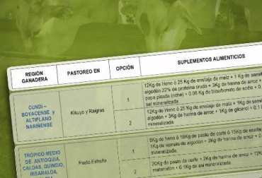 Este es el plan alimentario para suministrarle a los animales de acuerdo a la región del país en la que se encuentran ubicados. Foto: CONtexto ganadero. dietas suplementación bovinos fedegán