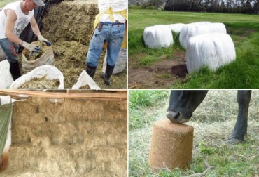 Conservar forrajes es una práctica que toma cada vez más importancia en los sistemas de producción ganaderos. Foto: CONtexto ganadero. suplementación ganado verano ganadería colombia