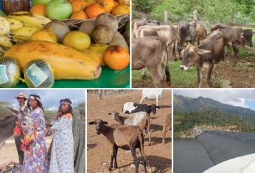 El departamento tiene muchas potencialidades que merecen ser apoyadas, eso generará un cambio positivo en la economía regional. Foto: CONtexto Ganadero. La Guajira Colombia situación crisis verano niño desnutrición