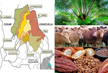 La región es apta para actividades como la palma, el cacao, la ganadería y el caucho. Foto: CONtexto ganadero. Colombia bronx Catatumbo