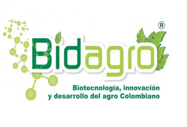La compañía ha unido de forma óptima los cultivos de palma con la producción pecuaria. Foto: Bidagro. bidagro, bidagro colombia, producción de palma en colombia, producción ganadera en colombia, palma y ganadería, palma colombia, ganado angus, ganado brangus, bidagro colombia, contexto ganadero, ganadería colombia