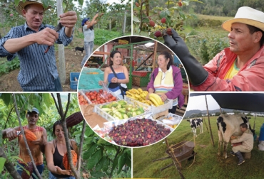 El proyecto Impact beneficia a 55 organizaciones de 5 subsectores agropecuarios en 10 departamentos del país. Foto: Proyecto Impact Proyecto Impact Colombia, Asociación de Cooperativas Canadienses ACC, proyecto Impact sector lácteo, proyecto Impact sector lácteo 2017, Impact sector ganadero, productores lecheros proyecto Impact, proyecto Impact Fedegán, CONtexto ganadero, ganaderos colombia