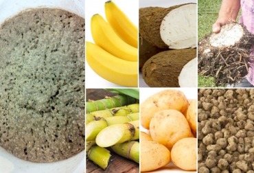 La FES potencia el contenido proteico de estos alimentos. Foto: standard.co.uk / agrodataperu.com / elcampesino.co / tecnicana.org / thetapaslunchcompany.co.uk / Agronews Castilla y León Fermentación en estado sólido, FES, Fes alimentación bovina, investigación FES alimento bovino, frutas como alimento del ganadero, nutrición del ganado, Uso de la fermentación en estado sólido en ganaderías, alimento nutritivo para el ganado, Alimento proteico para el ganado, proteína rumiantes, proteína ganado, suplementación, alimentación bovina, CONtexto ganadero, ganaderos colombia, noticias ganaderas colombia