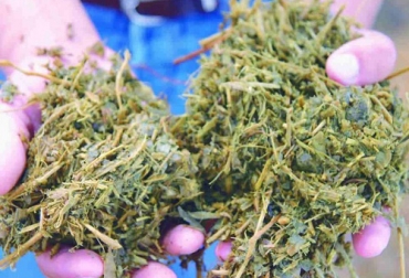Es clave realizar un manejo de grano más fibra de cualquier origen, rollos, rastrojos o pastos naturales. Foto: INTA. ganadería, ganadería colombia, noticias ganaderas colombia, contexto ganadero, dietas, dietas para el ganado, alimentación para ganado, comida para ganado, inta, ensilaje, heno, henolaje, silos para el ganado, heno para ganado, ganadería ensilajes y forrajes