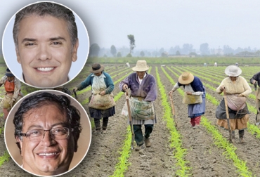 Conozca los planes de gobierno que ambos candidatos tienen para el agro colombiano. Foto: Kienyke / Pulzo.com / Las2orillas. ganadería, ganadería colombia, noticias ganaderas colombia, contexto ganadero, elecciones 2018, presidencia 2018 - 2022, candidatos a la presidencia, agro, propuestas por el agro, iván duque, centro democrático, sac, sac colombia, política agropecuaria, rentabilidad del campo, seguridad jurídica de la propiedad rural, bienes públicos, despolitización de entidades públicas, dignificación del trabajador rural y formalización del empleo agropecuario, rol de la mujer en el campo, política agropecuaria de largo,