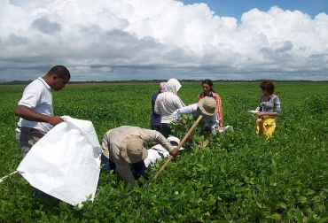 Los excesos de nitrógeno en las plantas se pueden lixiviar y llegar a los cuerpos de agua. Foto: Agencia de Noticias UN. Ganadería, ganadería colombia, noticias ganaderas, noticias ganaderas colombia, CONtexto ganadero, nitrógeno, cambio climático, fertilización, fertilización del suelo, fertilización con nitrógeno, universidad nacional, sebastián saavedra rincón, tesis sebastián saavedra rincón, palma,