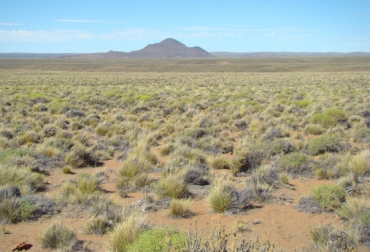 Uno de los ecosistemas muestreados en la Patagonia, Argentina. Foto: Fernando T. Maestre - Agencia SINC. Ganadería, ganadería colombia, noticias ganaderas, noticias ganaderas colombia, CONtexto ganadero, Instituto Multidisciplinar para el Estudio del Medio “Ramon Margalef” de la Universidad de Alicante, Fernando T. Maestre, hongos dominantes, revista Nature Communications, fertilidad del suelo, hongos, hongos en el suelo, atributos de los hongos, agencia sinc,