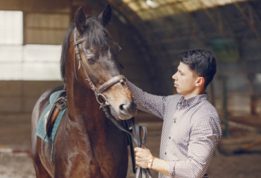 Los caballos tienen expresiones faciales similares a las de los humanos, como el movimiento de los ojos y los labios. Foto: freepik.es/prostooleh ganadería, ganadería colombia, noticias ganaderas, noticias ganaderas colombia, contexto ganadero, caballos, comunicación animal humanos, comunicación caballos con humanos, comunicación física caballos humanos, comunicación visual caballo humanos, humanos y caballos