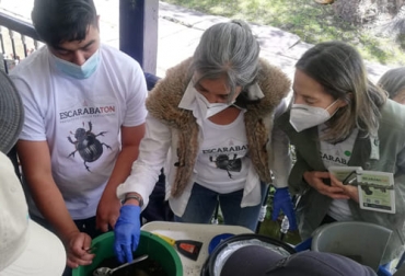 En una finca en Sopó se comenzó un trabajo de identificación y conocimiento de los beneficios que tienen los escarabajos en la ganadería sostenible. Foto: Cortesía escarabajos, EscarabaTon, ganaderos, trópico alto, registros, conservación, suelos, bosques, pasturas, Sistemas silvopastoriles, conservación del suelo, maquinaria, insumos químicos, producción de carne, leche, sostenibilidad, gases de efecto invernadero, Instituto Humboldt, finca ganadera, Sopo, coprófagos, Bio-recicladores, ciclo reproductivo, insectos, boñiga, función ecológica, ivermectina, Ganadería, ganadería colombia, noticias ganaderas colombia, CONtexto ganadero