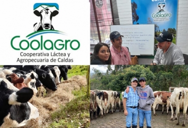 Coolagro es una cooperativa de Caldas que le apuesta a producir de manera sostenible y a ofrecer productos diferenciados con valor agregado. Foto: Cortesía Coolagro, cooperativa, Caldas, leche, lácteos, sostenibilidad, productividad, valor agregado, leches diferenciadas, transferencia, tecnología, concentrados, vacas, gases de efecto invernadero, alimento, pasto, pastoreo, ambiental, silvopastoril, asociatividad, biodigestores, biofertilizante, energía solar, energías renovables, software ganadero, control lechero, mejoramiento genético, ganadería, ganadería Colombia, noticias ganaderas Colombia, contexto ganadero