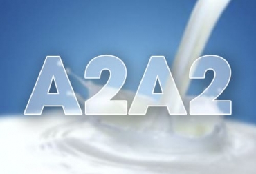 "Yo no diría que sea una alternativa, ya que a leche A2 tiene el mismo contenido de lactosa que la A1...": Gerardo Caja . Foto: perulactea.com leche A2A2