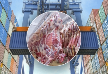 Las exportaciones de ganado en pie y de carne por parte de Colombia podrían seguir creciendo gracias a los precios y la tasa de cambio. Foto: zfmetropolitana.com - colbeef.com Exportaciones de carne
