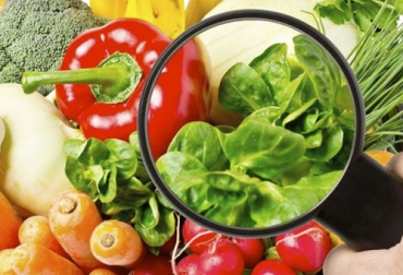 La seguridad alimentaria a nivel mundial se ha deteriorado por factores como la pandemia, la guerra en Ucrania y los precios de los alimentos, entre otros factores. Foto: agronewscomunitatvalenciana.com Alimentos