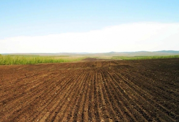 El artículo realizado un grupo de investigación de la Universidad Surcolombiana de Neiva (Huila) resaltó el contrato de aparcería como una opción para el sector agrícola de Colombia en el posconflicto. Foto: wallhere.com/wallpaperUp contrato de aparceria