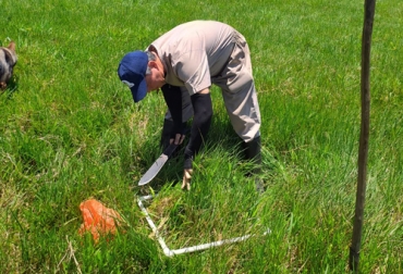 La conservación del medio ambiente es una de las prioridades de los productores en Caquetá para obtener beneficios adicionales. Foto: Cortesía Productor en campo