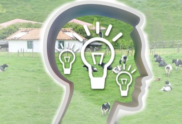 El definir que la ganadería es una empresa productiva y que, en su condición de empresa del sector primario, genera nuevo conocimiento, permite aplicarlo a sí misma en forma metódica. Foto: CONtexto ganadero. estrategias fincas ganaderas