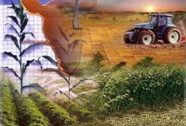 La asociatividad es clave para el desarrollo sostenible de la empresa agropecuaria. Foto: Cortesía Tecnoformar. Empresa agropecuaria en Colombia