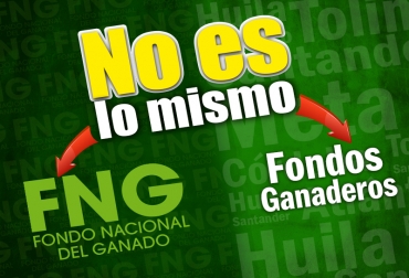 "Es absurdo e impreciso asociar los Fondos Ganaderos del país con los fondos parafiscales", aseguró Ricardo Bruce. Foto: CONtexto ganadero. fondo nacional del ganado