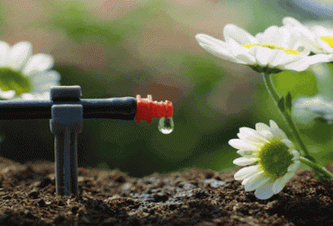 Los sistemas de riego ayudan a generar productos de calidad y a gastar el agua necesaria en la siembra. Foto: CONtexto ganadero. Irrigación gota a gota