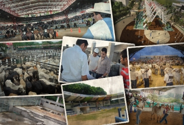 Hay varios departamentos en los que aún carecen de recintos feriales, mientras que unos más requieren adecuaciones en sus estructuras. Foto: CONtexto Ganadero. Recintos feriales