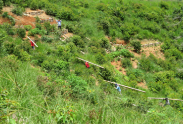 Restauración ecológica de zonas erosionadas con prácticas de bioingeniería en zona de ladera. C.I. El Nus - CORPOICA. Foto: Mauricio Carvajal, CIPAV. mitigación ganadería