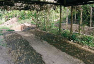 abonos orgánicos sólidos
