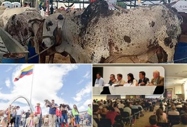 2 eventos internacionales de leche y carne marcaron la historia del sector ganadero del país en 2015. Foto: CONtexto ganadero. ferias ganaderas