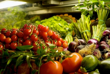 Asohofrucol desarrolló 31 proyectos en los que se atendieron más de 45 mil productores hortifrutícolas de Colombia en 2014. Foto: Cortesía. frutas y hortalizas 2015